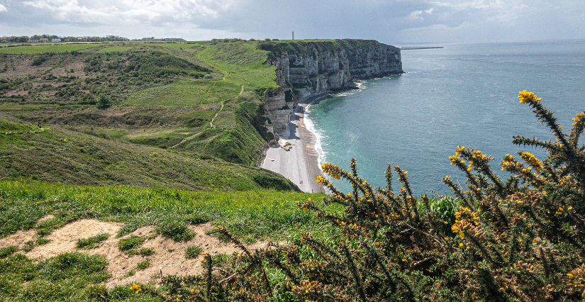 Normandie sauvage : les plus beaux parcs naturels, réserves et sites à explorer en famille autour de Caen (14), Rouen (76) et Cherbourg - Saint-Lô (50).