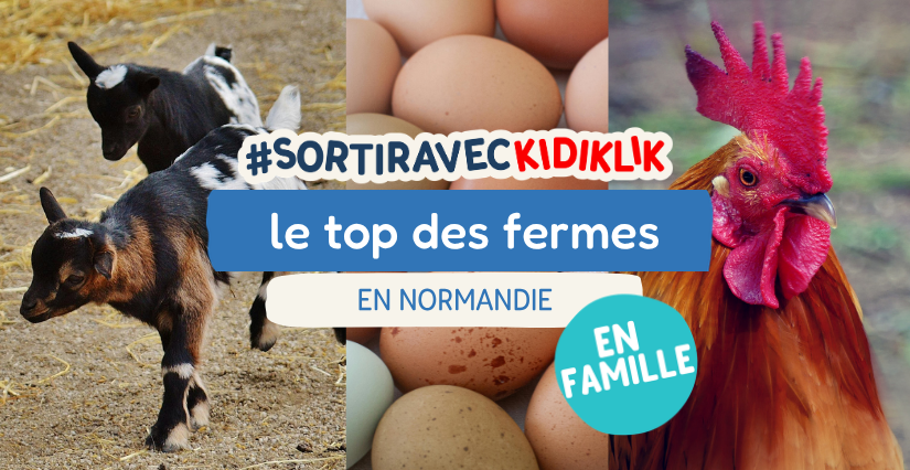 Les plus belles fermes pédagogiques de Normandie à découvrir en famille cet été