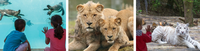 Zoo de Jurques