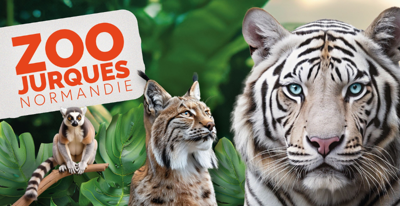 Partez à la découverte des animaux du monde au Zoo de Jurques !