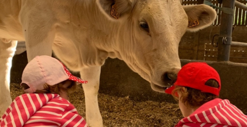 La ferme de la Boudinière, visite de l’exploitation en famille, à 35 min de Rouen