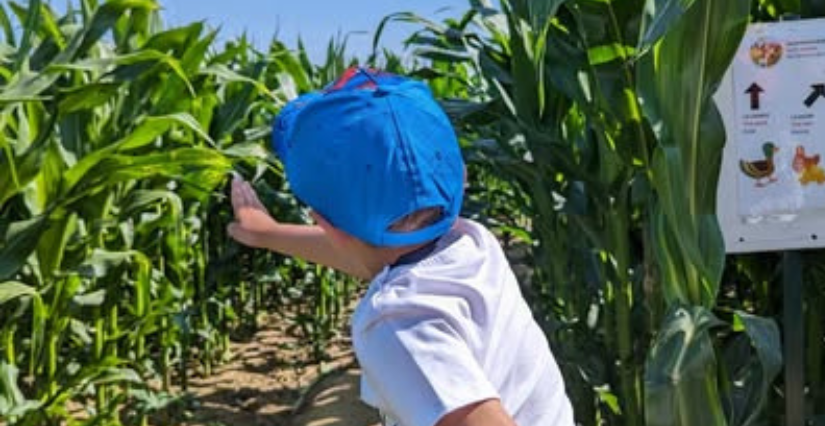 À Fécamp, amusez-vous en famille en plein air au Labyrinthe des Dalles !
