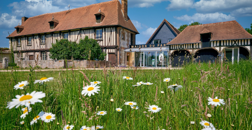 Partez à la découverte de la nature au Parc naturel régional des Boucles de la Seine Normande !