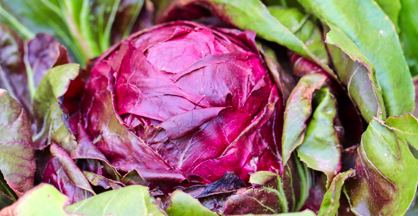 Atelier peinture végétale aquatique au Musée d'Initiative à la Nature de Caen !