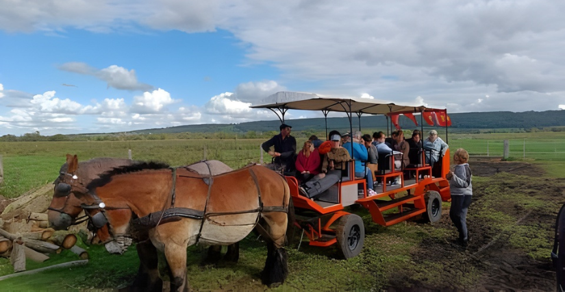 Tour en calèche avec le Parc naturel régional des Boucles de la Seine à St-Aubin-sur-Quillebeuf