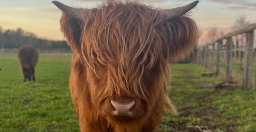 La Ferme Fermily Parc : une pépite familiale à 30 min de Caen ! (14)