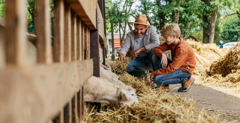 Atelier « Apprenti fermier » à Fermily Parc à Perrières (14)