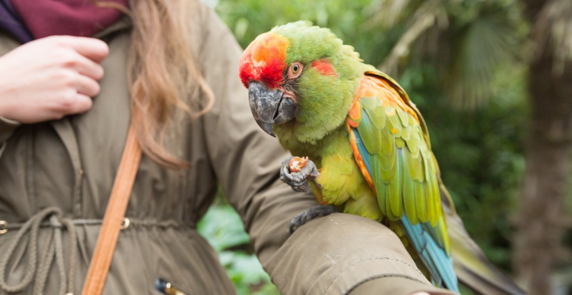 Dans la peau d'un soigneur au Zoo de Jurques (14)