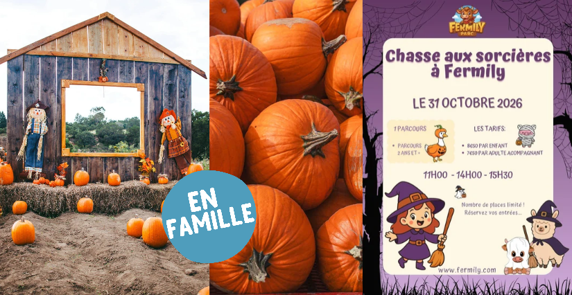 Chasse aux sorcières à la ferme Fermily à Perrières (14)