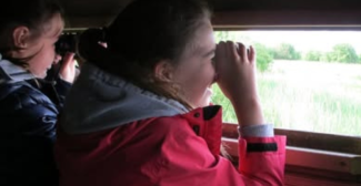 Parc naturel régional des Marais du Cotentin et du Bessin : découvertes nature à la Maison du Parc, à 40 min de Cherbourg