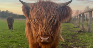 La Ferme pédagogique Fermily Parc : une pépite familiale à 30 min de Caen ! (14)